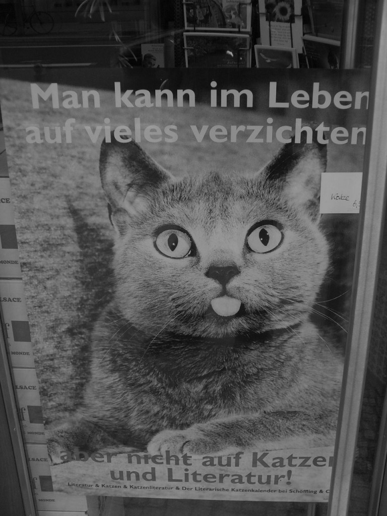 Hace muchos años, una librería de Berlín aseguraba a los paseantes que en la vida, uno puede prescindir de muchas cosas, pero no de los gatos y la literatura.