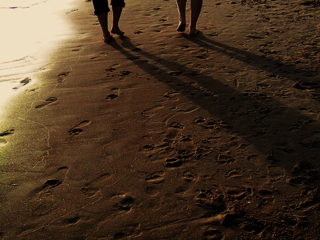 Education Goes the Longest of&nbsp;Ways