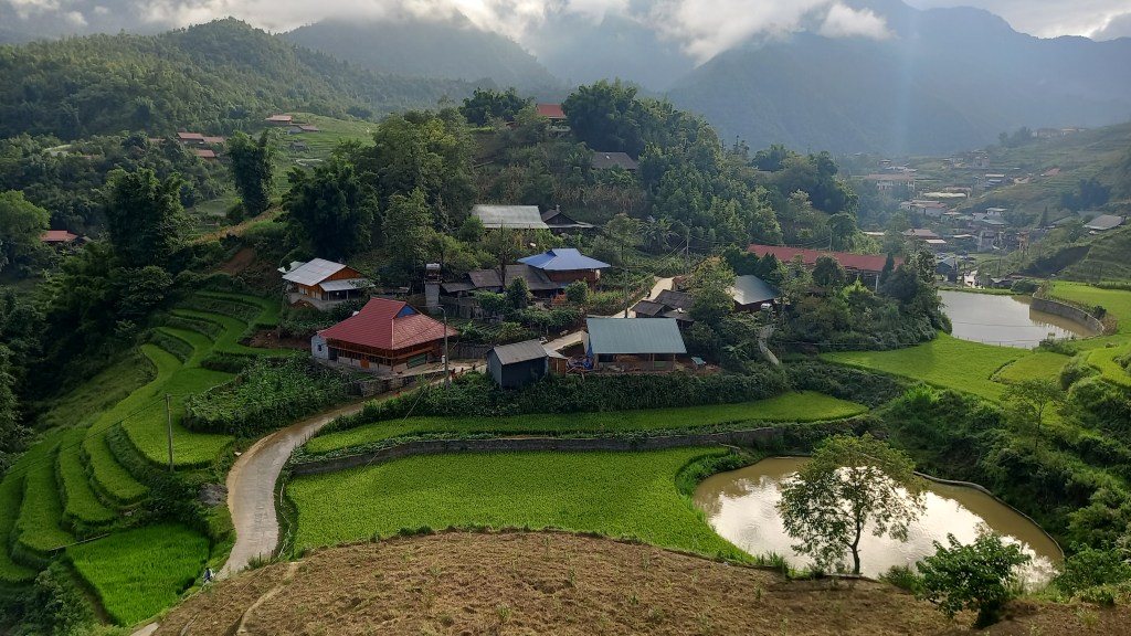 Greener than the greenest green in Cat&nbsp;Cat